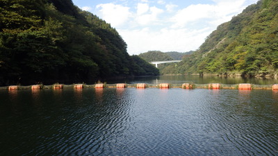 流木止めと三隅川上流方面の写真です。