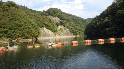 流木止めと板井川上流方面の写真です。