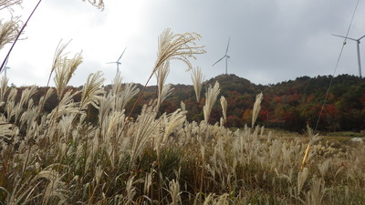 やうね山の写真その１です