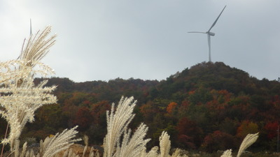 弥畝山の写真その２です