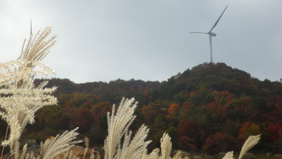 弥畝山の写真その２です