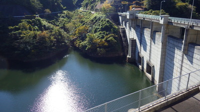 秋の陽光に輝くみやび湖面と御部ダムの写真です。