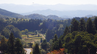 秋晴れのもとの棚田の写真です。