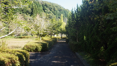 散策路の写真その２です