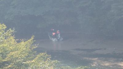 流木回収状況の写真その４です。