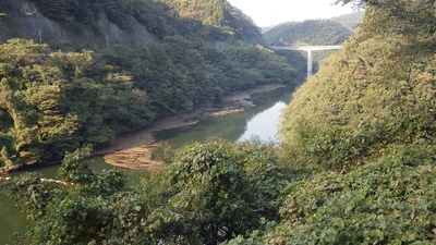 今日の流木回収状況です。