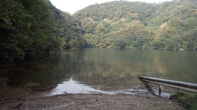 安養寺管理道の写真です