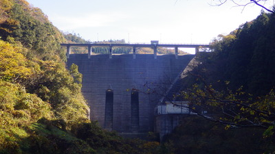 色づいた木々に囲まれた下流側から見た御部ダムの写真です。
