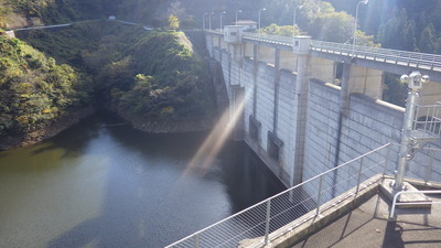 11月12日の御部ダムの写真です