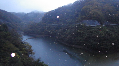 雨粒の反射の写真その２です