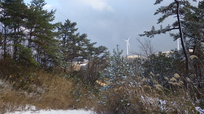 弥畝山の雪景色の写真その２です