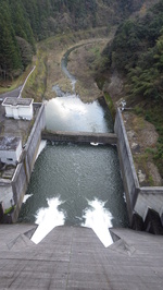 ダムの上から見た常用洪水吐きを流れる水と下流河川の写真です。
