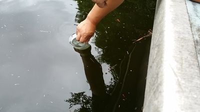 板井川での採水状況の写真です。