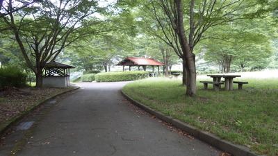 どうえんぼう公園の点検写真その２です