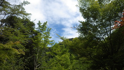 夏らしい空の写真です