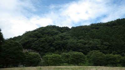 夏らしい空の写真その２です