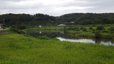 穏やかに流れる三隅川の写真です