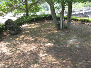 ダム南広場のケヤキがつくった木陰の写真です