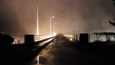 御部ダムライトダウン後管理橋の幻想的な写真です