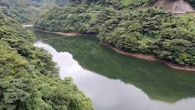 ダム湖の様子の写真です