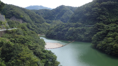 ９月14日の流木止めの写真です