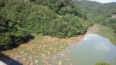 御部大橋の上流側の写真です