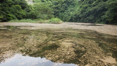 三隅川の湖面の様子の写真です
