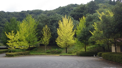 道猿坊公園の写真その２です