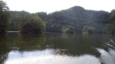 みやび湖の島の写真です