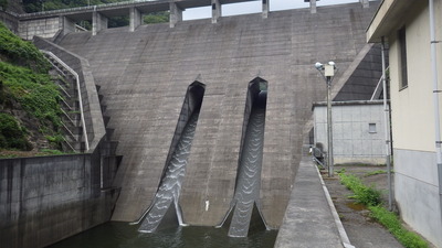 今日の御部ダム下流からの写真です