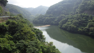 流木止め付近の写真です