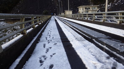 御部ダムの上の積雪の様子です。