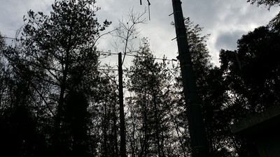 井野雨量局の局舎の一部の写真です
