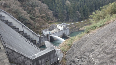 維持放流の写真です