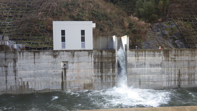 維持放流の写真です