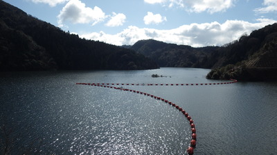 ダム湖の写真その１です