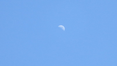 かすみ空に見つけた月の写真です