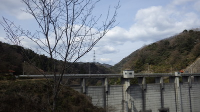 御部ダムとまだ咲かない見晴らし広場の山桜の写真です。