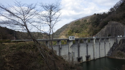 まだ咲かない見晴らし広場の山桜の写真その２です。