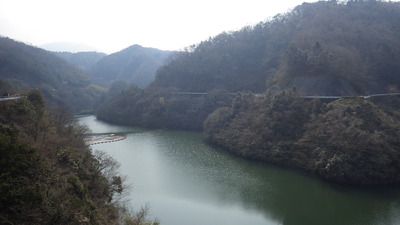 春の日差しに湖面がきらめく今日のみやび湖の写真です。