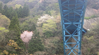 上古和大橋の写真です