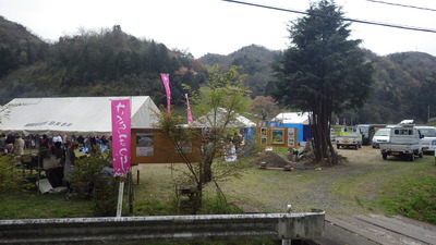井川の一本桜祭りの写真です
