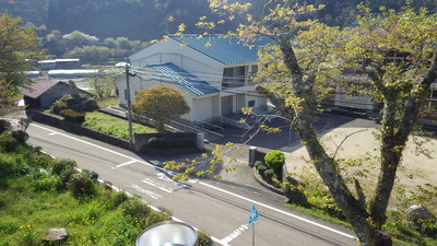 サクラと二川雨量局のうえのますの写真です