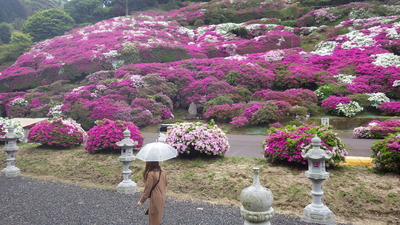 三隅公園の写真です