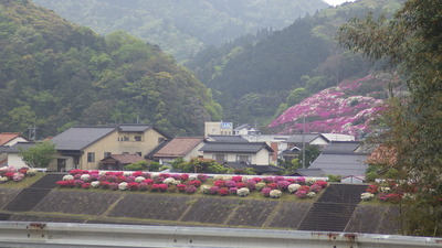 竹伐採した場所から見た三隅公園の写真です