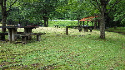 草刈をした道猿坊公園の様子