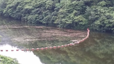 流木止めの流れ着いた漂流物の写真です