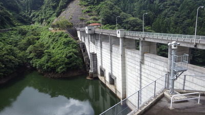 ８月１７日の御部ダムの全景です。