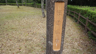 桜の広場のペンキを塗る前の状態