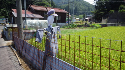 下古和地区のかかし